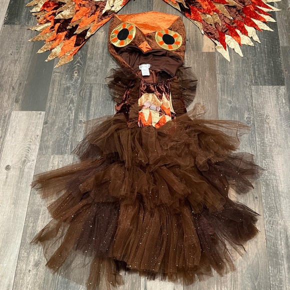 Chasing Fireflies Wishcraft Colorful Owl Costume Sz 16 Dress Head Wings Tulle - Picture 3 of 10